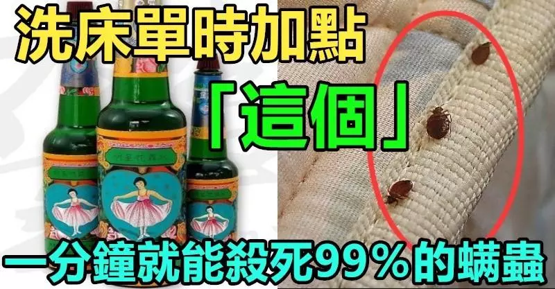 洗床單加點「這個」,只需1分鐘就能清除99%的蟎蟲!超實用!