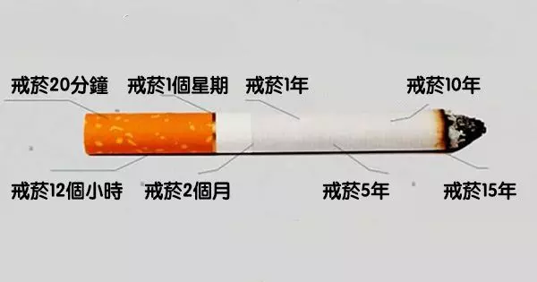 從你決定戒菸的那一刻開始「身體其實就有了變化」,看了這些結果終於秒懂戒菸的效果!