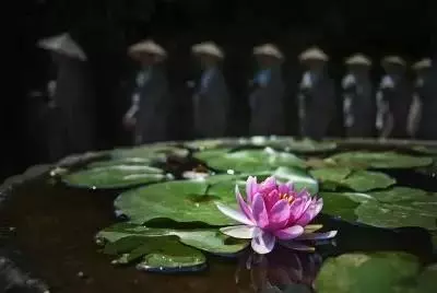「心好命又好,富貴直到老」當生活變得糟糕時,遠離「四件事」,生活會更順利!
