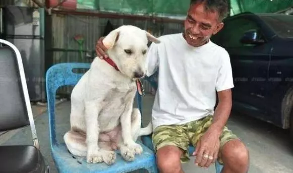 慶祝失蹤愛犬回家!泰男擺流水席任人吃,鄰居:誰能比他更愛狗