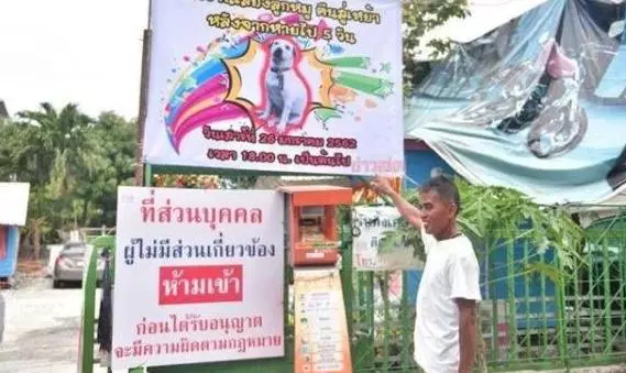 慶祝失蹤愛犬回家!泰男擺流水席任人吃,鄰居:誰能比他更愛狗