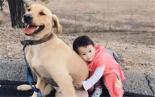 連生二胎都是女兒,小叔看我笑話10多年,結果在大女兒出嫁這天,他竟然嚇到躲在角落哭!