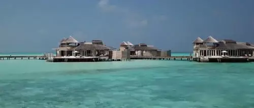 中國人眼中的大馬:被稱為「華人之城」,家裡這個越多越容易娶媳婦