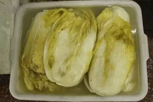 鄉下婆婆送來一袋臭酸菜, 我嫌髒扔了, 老公來電話後我如五雷轟頂