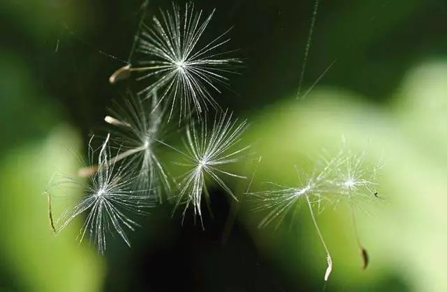 農曆新年前中頭獎,春節前發一筆橫財,大師說記得轉走~偏財更旺