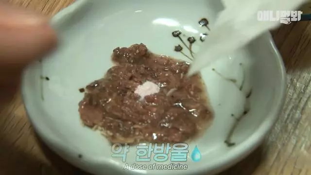 「陪睡抓傷主人」好失控!「睡著就變惡魔」醫生嘆:牠有陰影...
