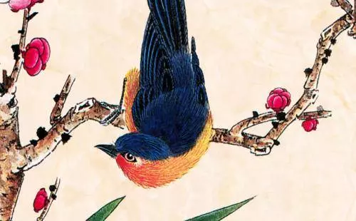 如果這7種動物不請自來家裡,竟是吉兆,千萬不要趕走他!!