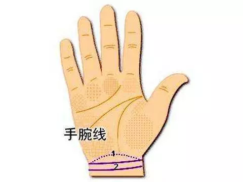 手腕上有這條線,早晚富甲一方,子孫後代都享福!