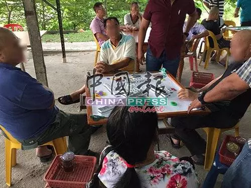 警方展開「年柑行動」,華裔老伯被捕:不敢叫孩子來保釋我!