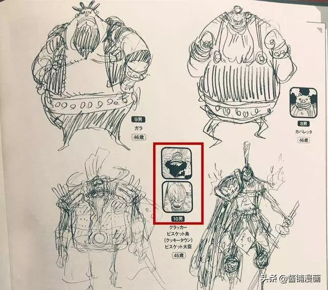 海賊王官方情報:尾田展示唯一從沒出場過的第九子,被擊敗的將星
