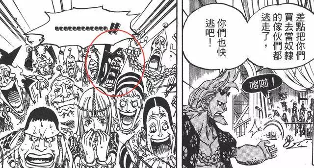 淺談海賊王里小配角的精彩人生,尾田從未遺忘過任何一個小角色!