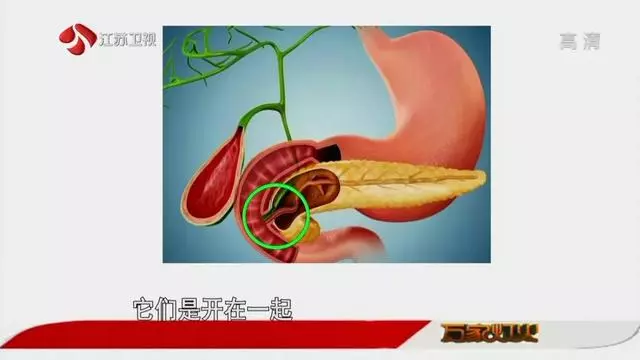 「癌症之王」最愛盯上這些人!做好這幾點,幫你遠離它!