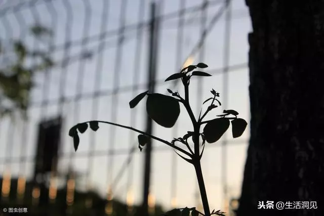 心情不好的時候,堅持做好這二點,整個人會舒服了很多!