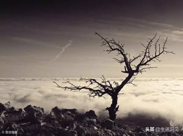 心情不好的時候,堅持做好這二點,整個人會舒服了很多!