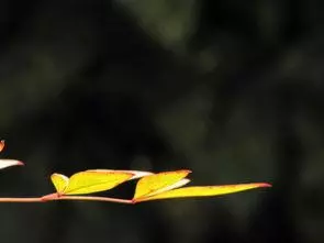 做人,做好這三個「戒」字,你的福運就來了