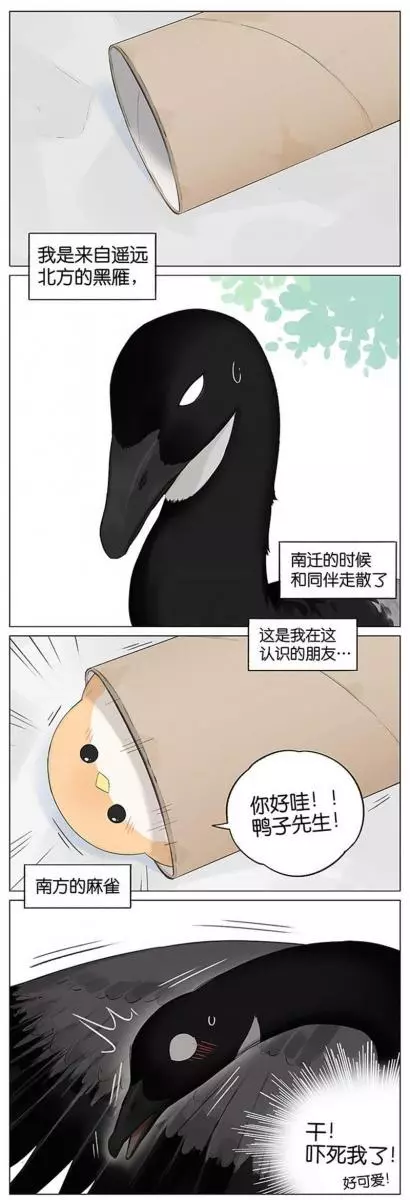 當北方的黑雁遇上南方的麻雀 「讓心融化的」超萌漫畫誕生!竟然因為鳥類心動了~