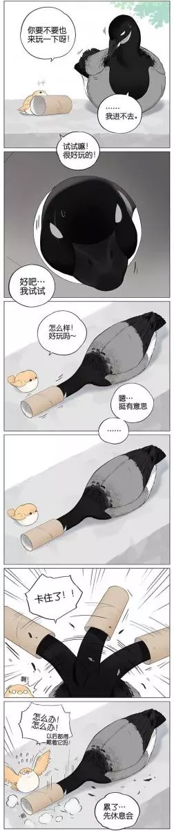 當北方的黑雁遇上南方的麻雀 「讓心融化的」超萌漫畫誕生!竟然因為鳥類心動了~