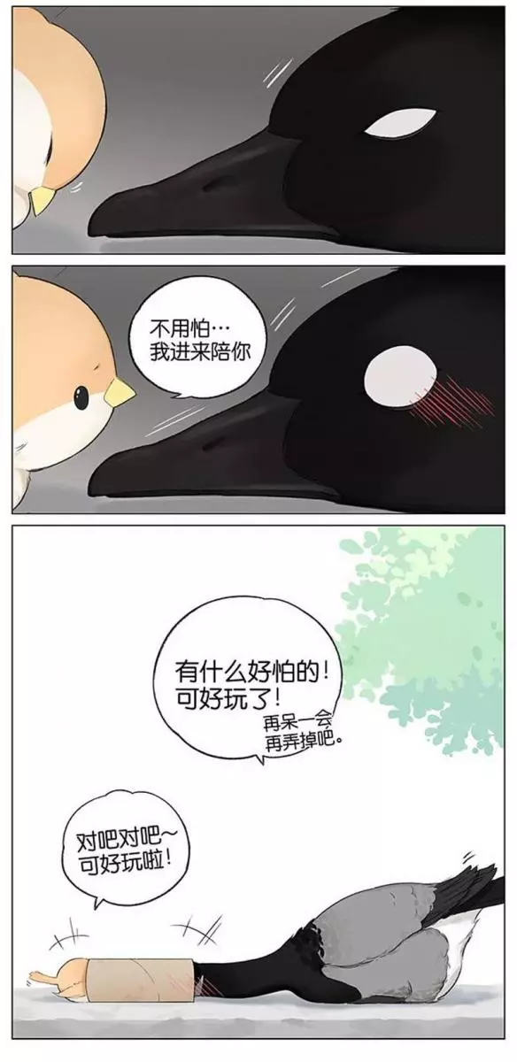 當北方的黑雁遇上南方的麻雀 「讓心融化的」超萌漫畫誕生!竟然因為鳥類心動了~