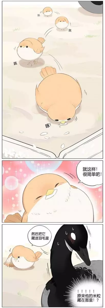 當北方的黑雁遇上南方的麻雀 「讓心融化的」超萌漫畫誕生!竟然因為鳥類心動了~