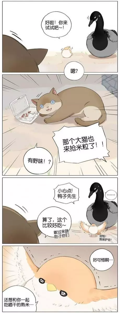 當北方的黑雁遇上南方的麻雀 「讓心融化的」超萌漫畫誕生!竟然因為鳥類心動了~