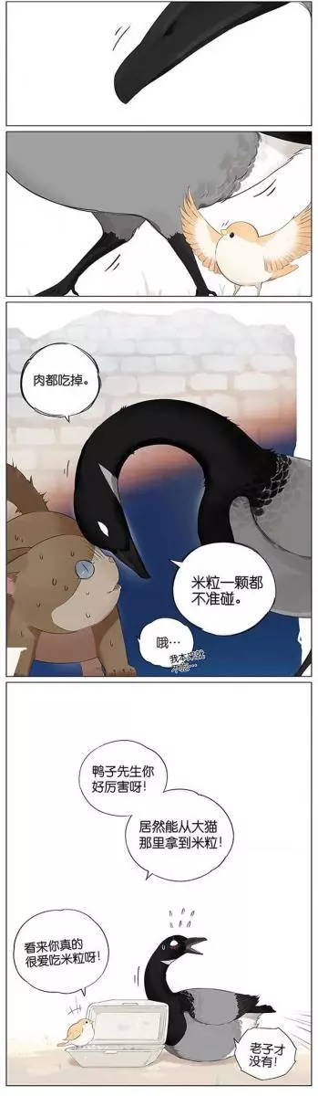 當北方的黑雁遇上南方的麻雀 「讓心融化的」超萌漫畫誕生!竟然因為鳥類心動了~