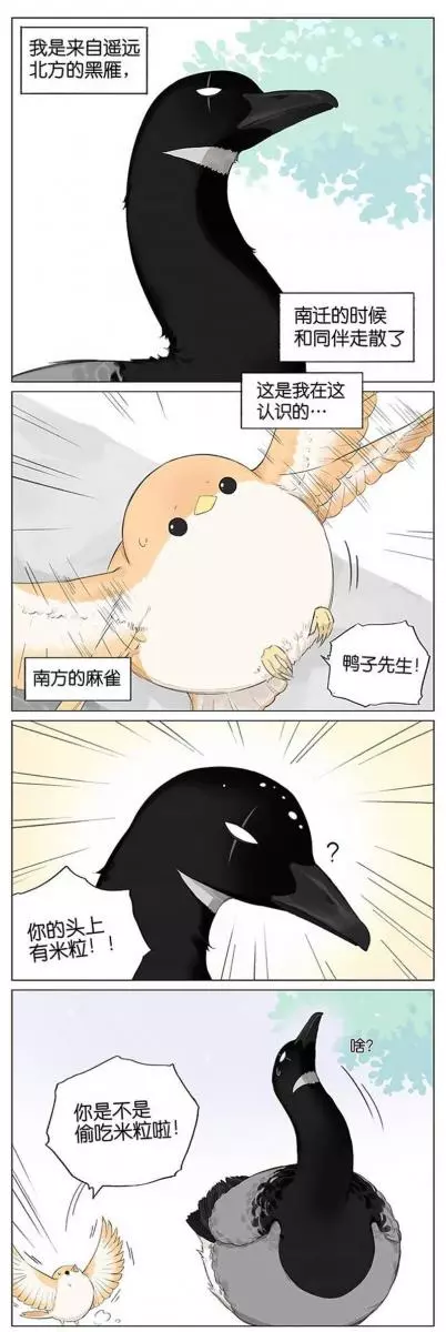 當北方的黑雁遇上南方的麻雀 「讓心融化的」超萌漫畫誕生!竟然因為鳥類心動了~
