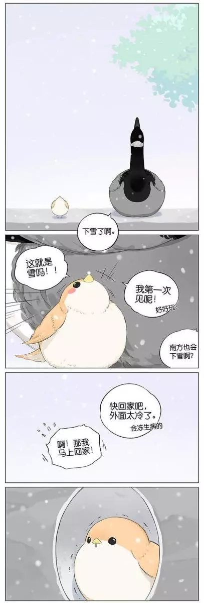 當北方的黑雁遇上南方的麻雀 「讓心融化的」超萌漫畫誕生!竟然因為鳥類心動了~