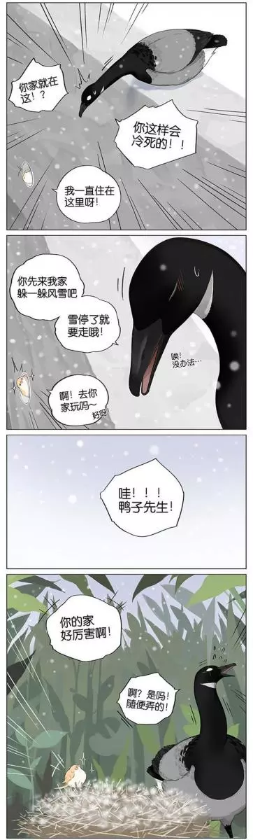 當北方的黑雁遇上南方的麻雀 「讓心融化的」超萌漫畫誕生!竟然因為鳥類心動了~