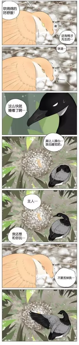 當北方的黑雁遇上南方的麻雀 「讓心融化的」超萌漫畫誕生!竟然因為鳥類心動了~
