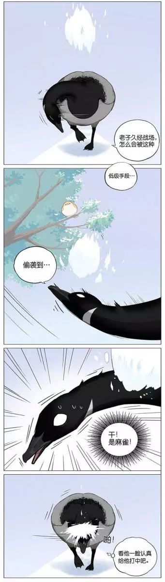 當北方的黑雁遇上南方的麻雀 「讓心融化的」超萌漫畫誕生!竟然因為鳥類心動了~