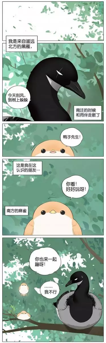 當北方的黑雁遇上南方的麻雀 「讓心融化的」超萌漫畫誕生!竟然因為鳥類心動了~