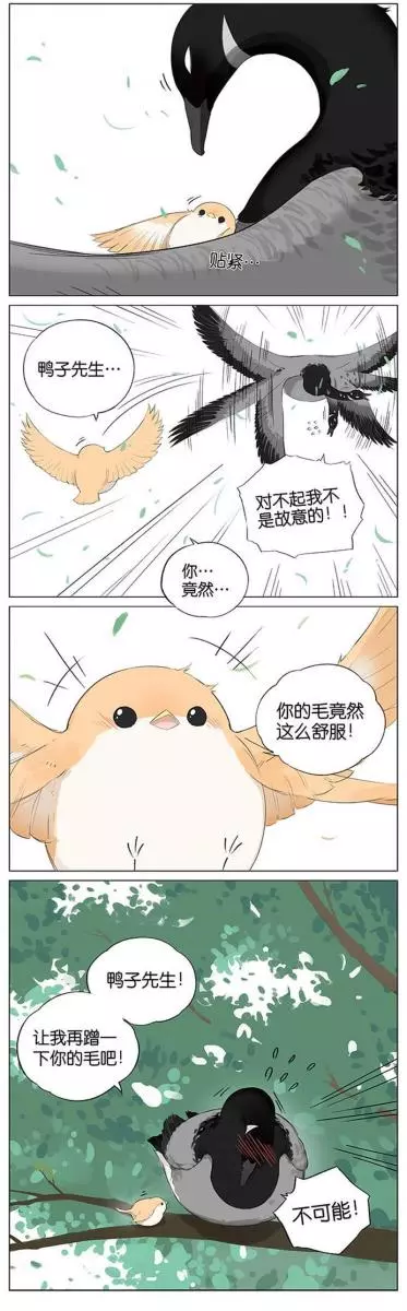 當北方的黑雁遇上南方的麻雀 「讓心融化的」超萌漫畫誕生!竟然因為鳥類心動了~