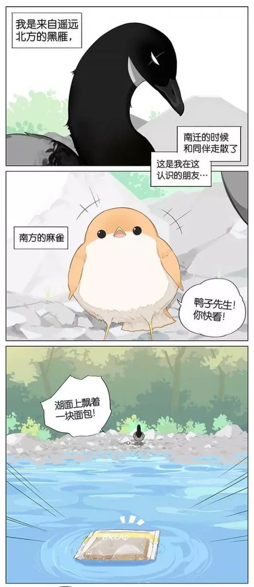 當北方的黑雁遇上南方的麻雀 「讓心融化的」超萌漫畫誕生!竟然因為鳥類心動了~