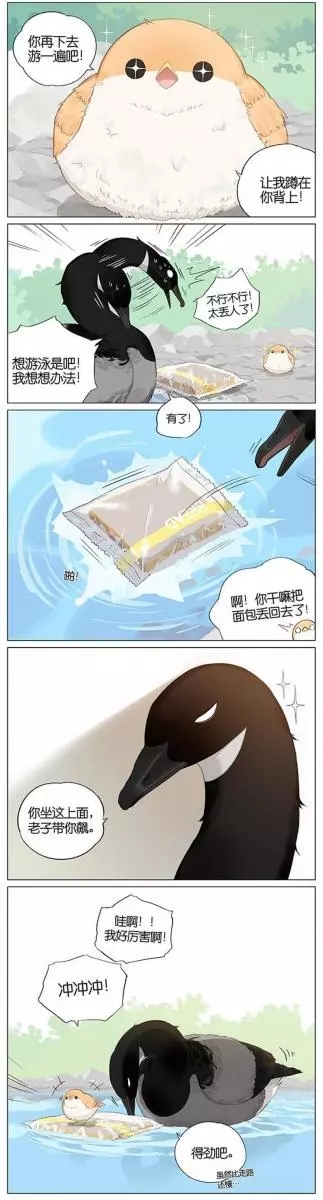 當北方的黑雁遇上南方的麻雀 「讓心融化的」超萌漫畫誕生!竟然因為鳥類心動了~