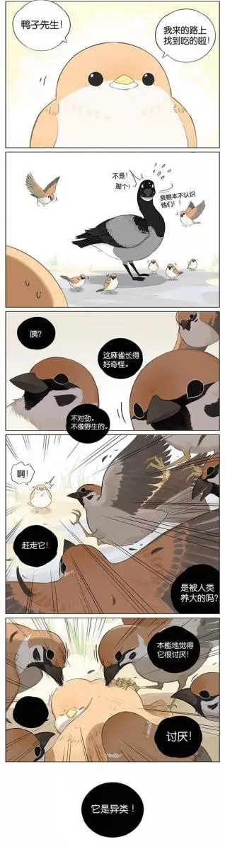 當北方的黑雁遇上南方的麻雀 「讓心融化的」超萌漫畫誕生!竟然因為鳥類心動了~
