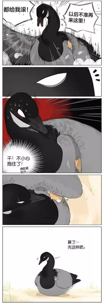 當北方的黑雁遇上南方的麻雀 「讓心融化的」超萌漫畫誕生!竟然因為鳥類心動了~