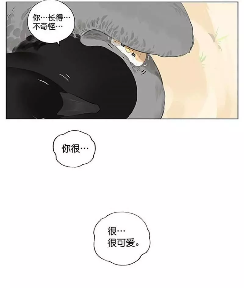 當北方的黑雁遇上南方的麻雀 「讓心融化的」超萌漫畫誕生!竟然因為鳥類心動了~