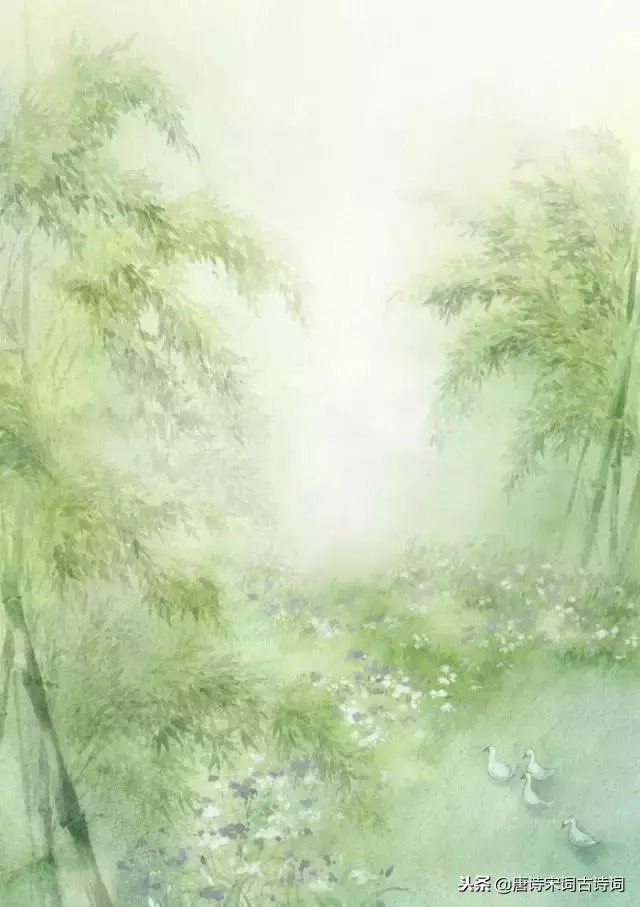 年少不懂這些詩,待到懂時已惘然