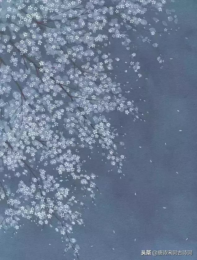年少不懂這些詩,待到懂時已惘然