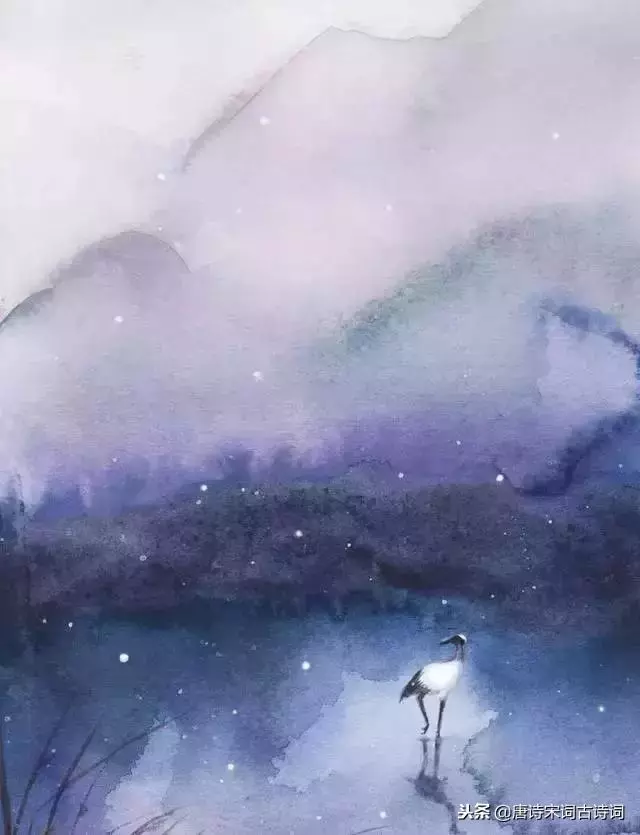 年少不懂這些詩,待到懂時已惘然