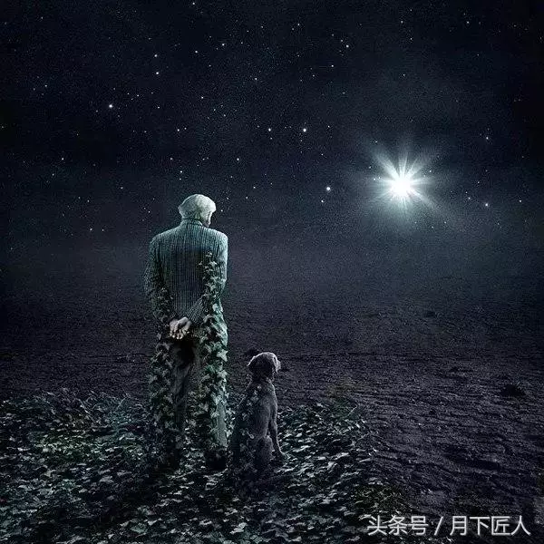 你儘管努力,剩下的隨緣