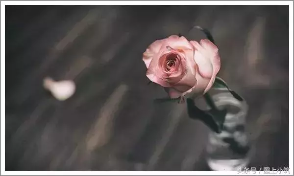 不要把一切看得太重!(經典好文)