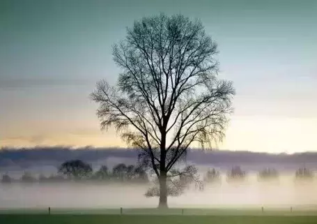 【這段話,寫給所有累了的人!】為啥?要寫出我的心坎話... 解脫吧,找回快樂的自己!