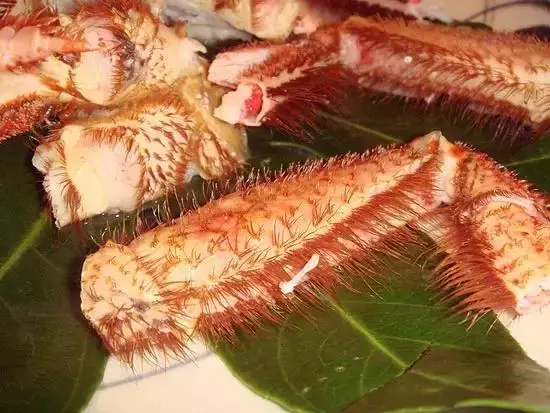 帝王蟹、毛蟹、松葉蟹,日本三大名蟹有啥不一樣?