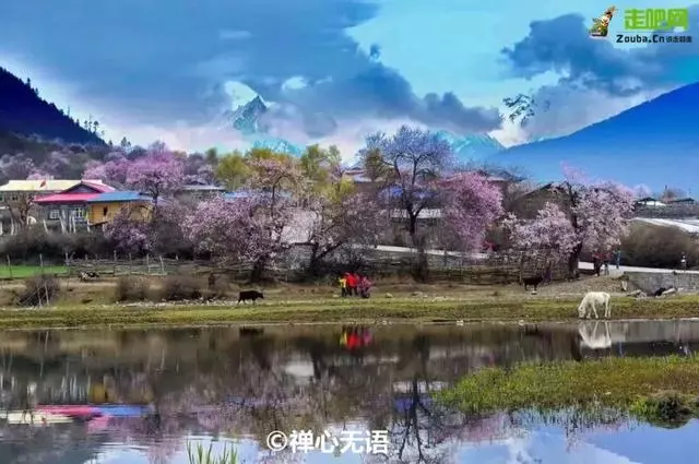 林芝最美的季節即將來臨,這一份超全賞花攻略,請收好!