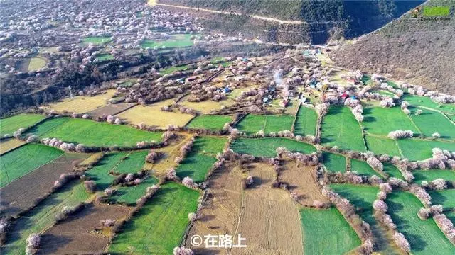 林芝最美的季節即將來臨,這一份超全賞花攻略,請收好!