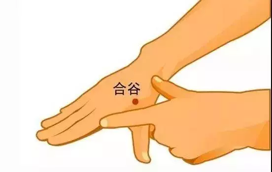 中醫教你給五臟六腑「洗洗澡」,在家也能做!