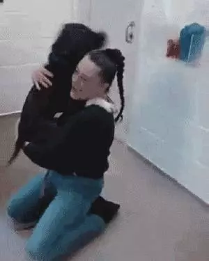 狗狗對主人的愛有深有淺,分5個等級,你是在哪個級別?