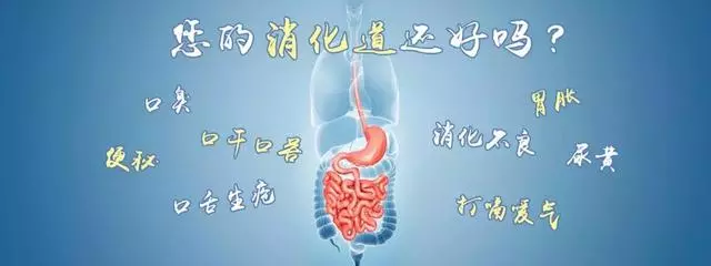 消化道有火,胃脹、口臭、便秘!學會對症祛火,遠離消化道煩惱!