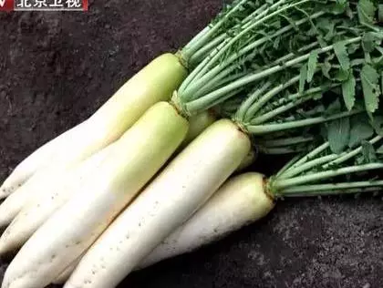 消化道有火,胃脹、口臭、便秘!學會對症祛火,遠離消化道煩惱!